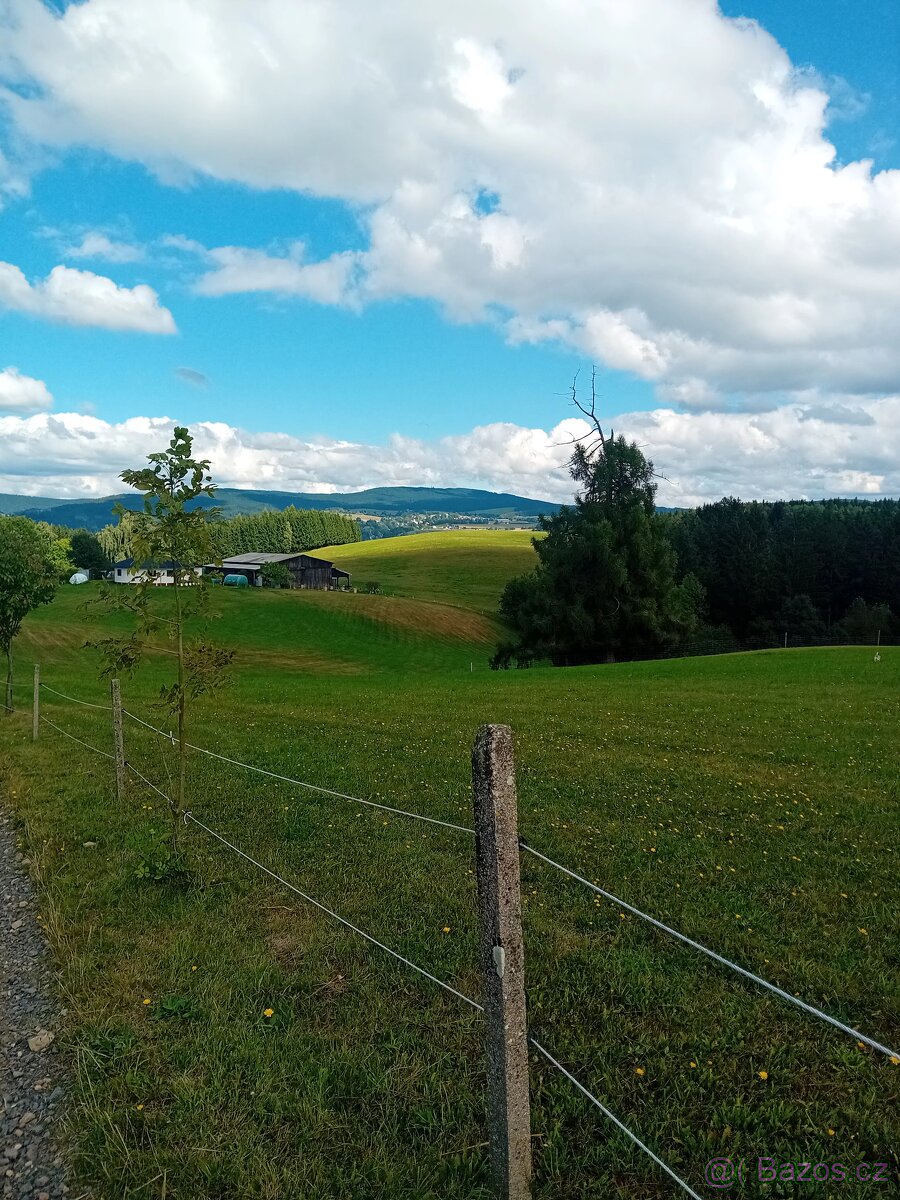 Pastevní ustájení - 3