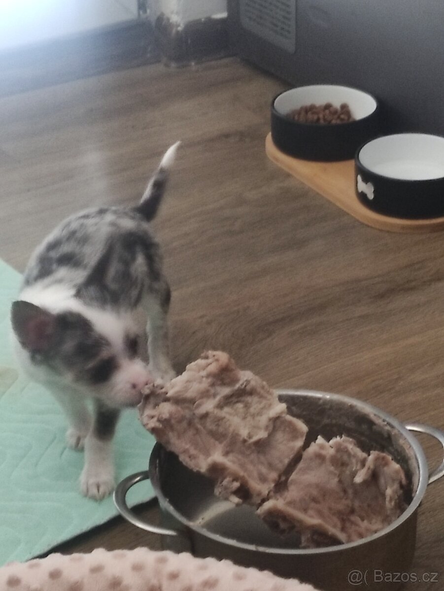 Predám steniatko - 3