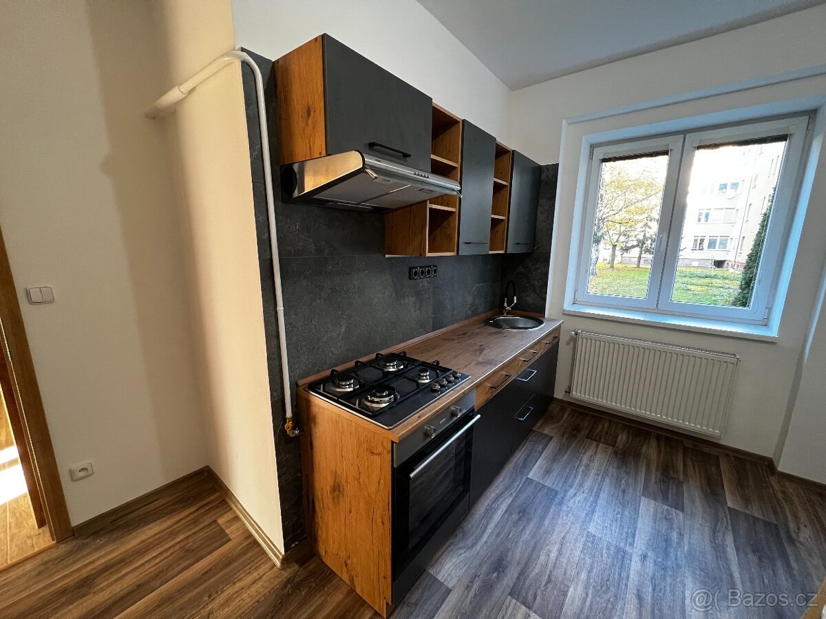 Pronájem bytu 1+1 (52 m2) - 3