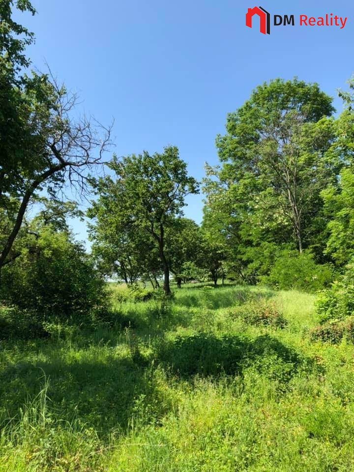 Prodej zahrady 5231 m2, Dalovice - 3