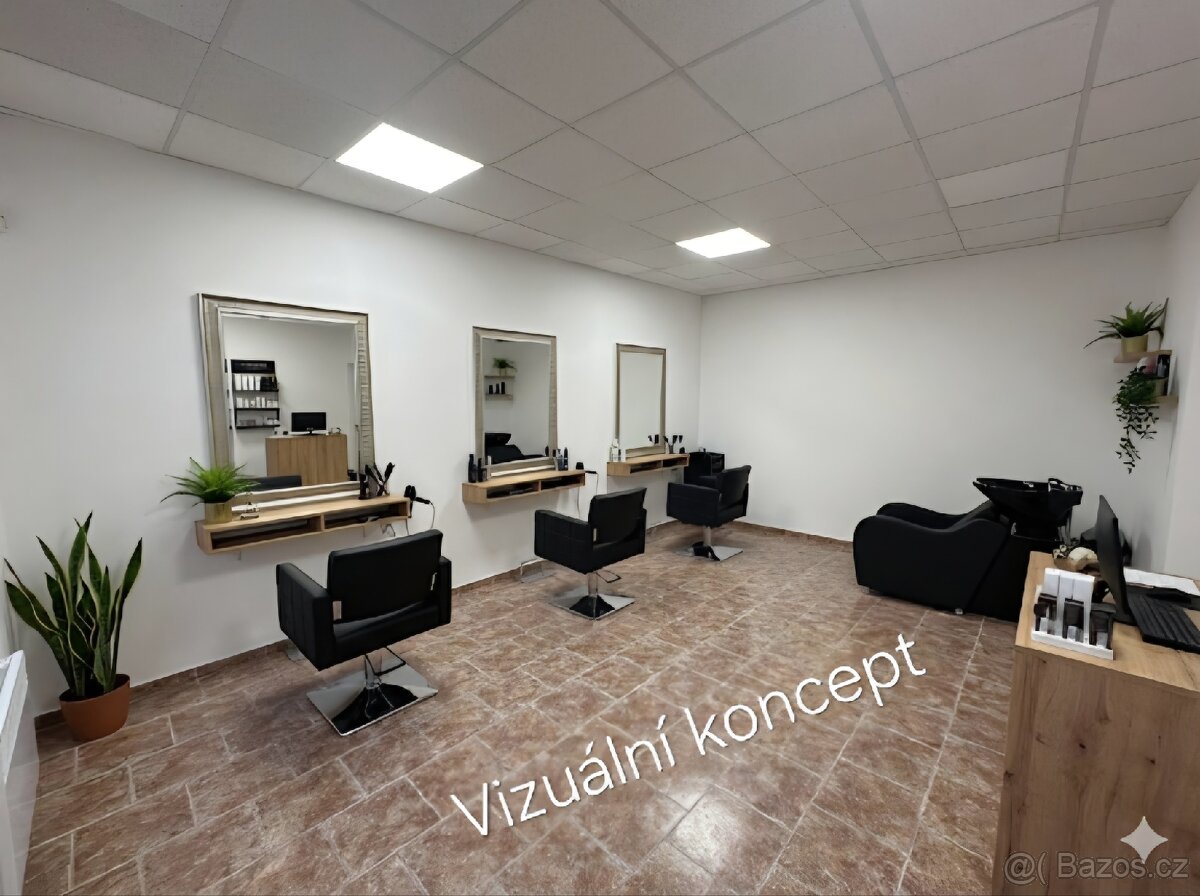 Pronajmu komerční prostor - 3