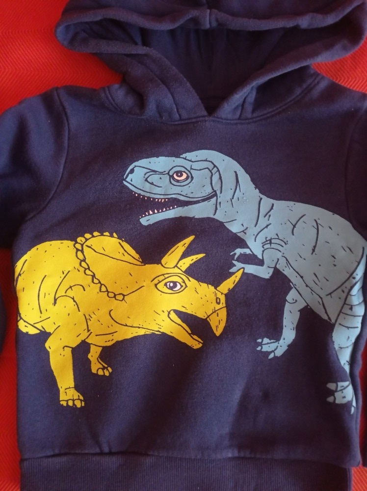 Mikina s dinosaury zn. C&A vel.110 - 3