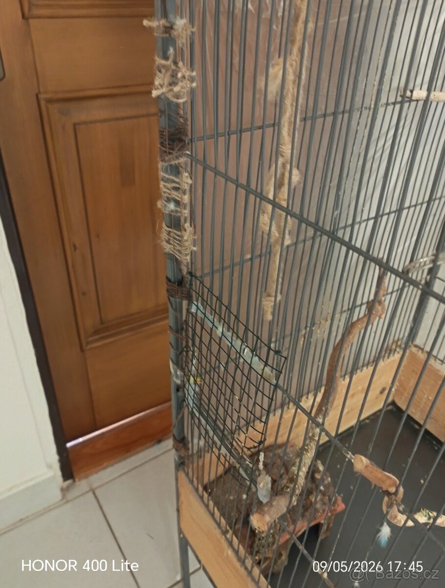 Voliéra - 3
