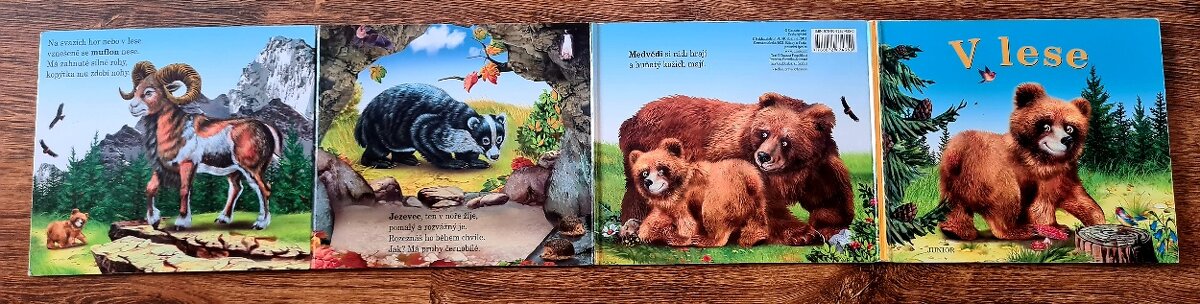 Dětská knížka - V lese - 3