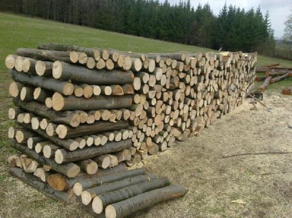 Palivové dřevo akce tvrdé přebytky pálivá - 3