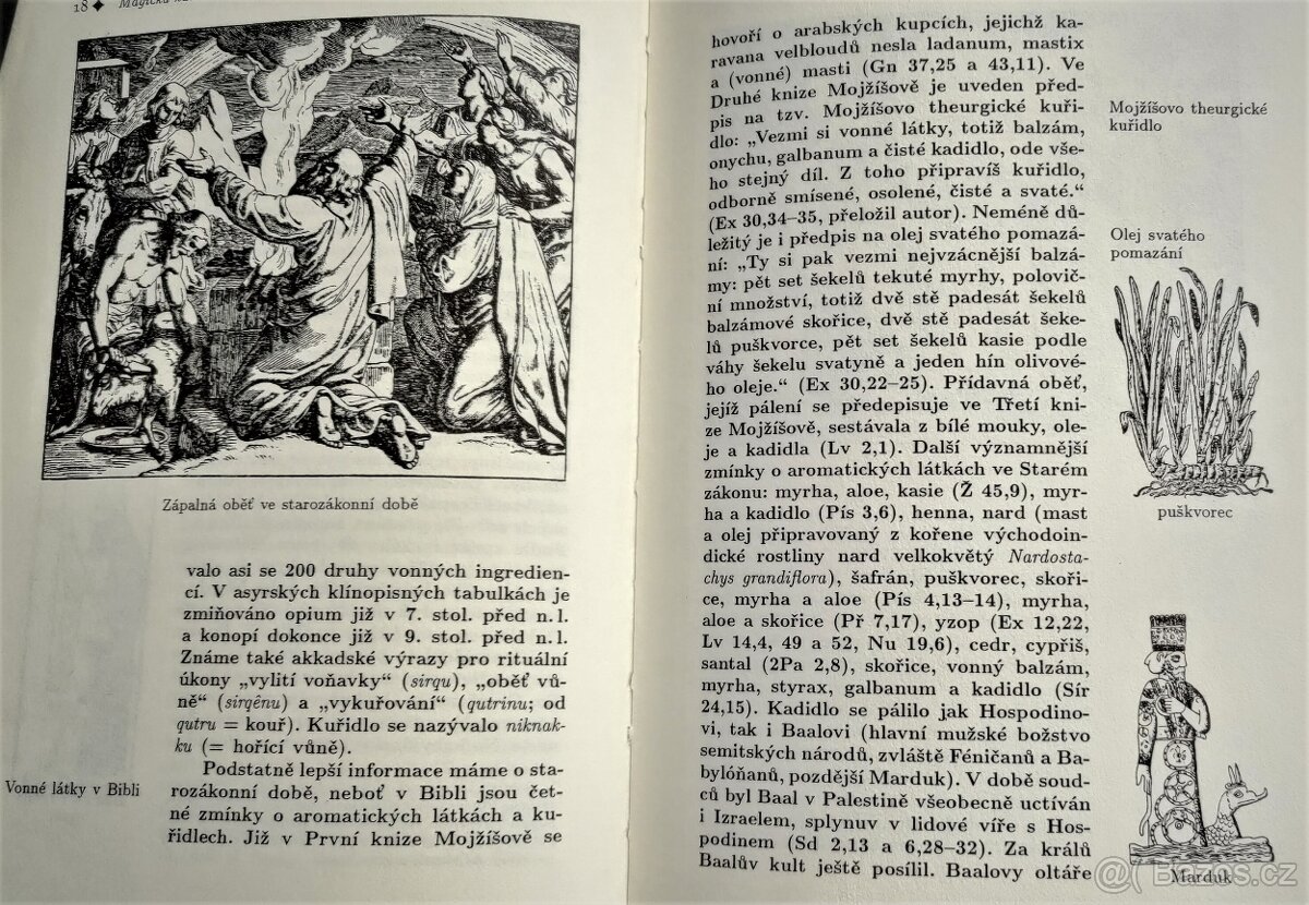 MAGICKÁ KUŘIDLA / Josef Veselý - 3