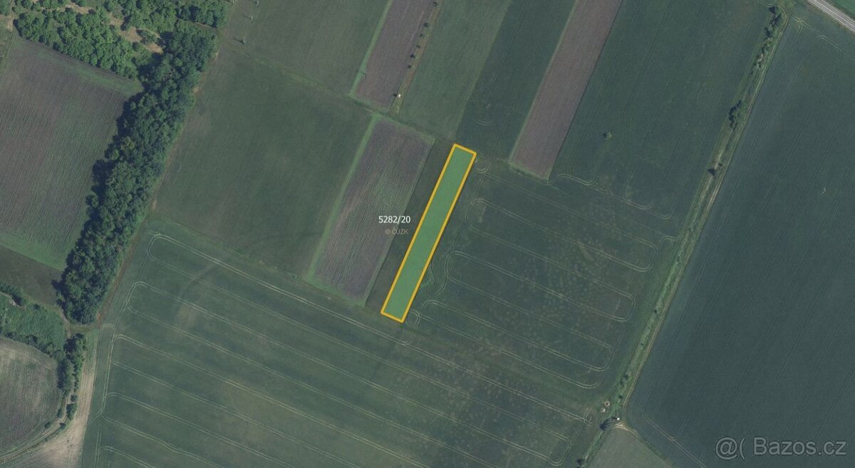 Zemědělská půda, prodej, Novosedly, Břeclav - 3