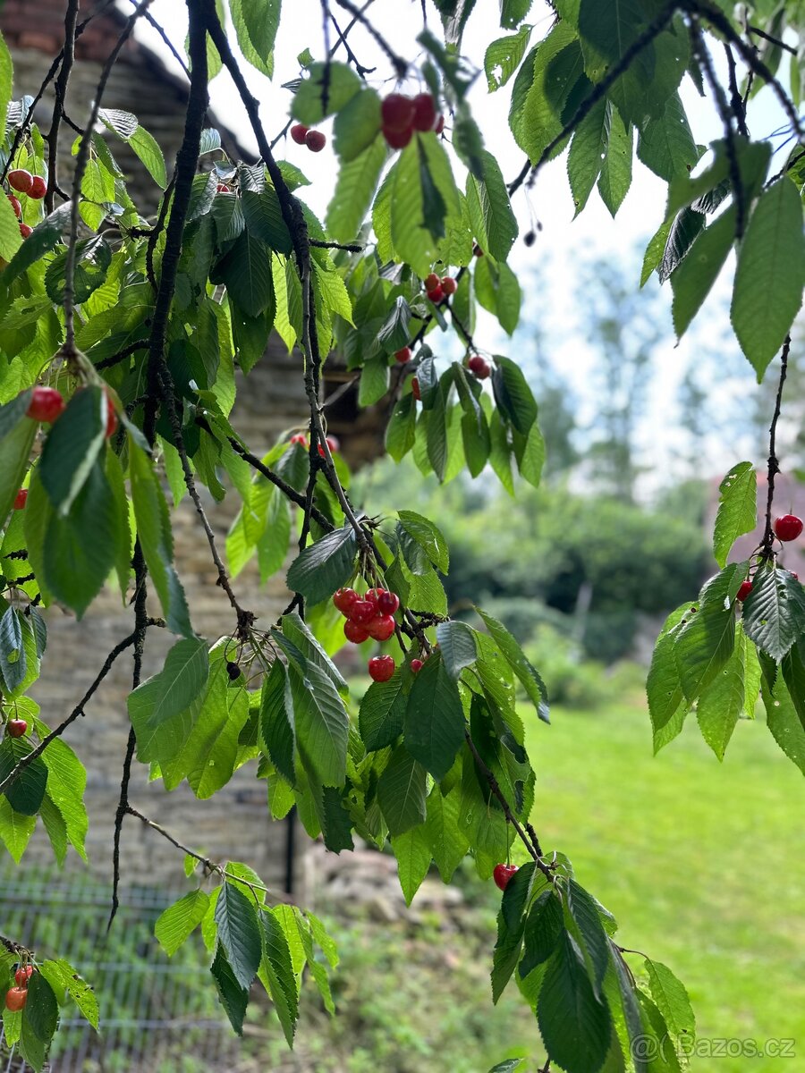 Pozemek se stavbami na okraji vesnice - 3