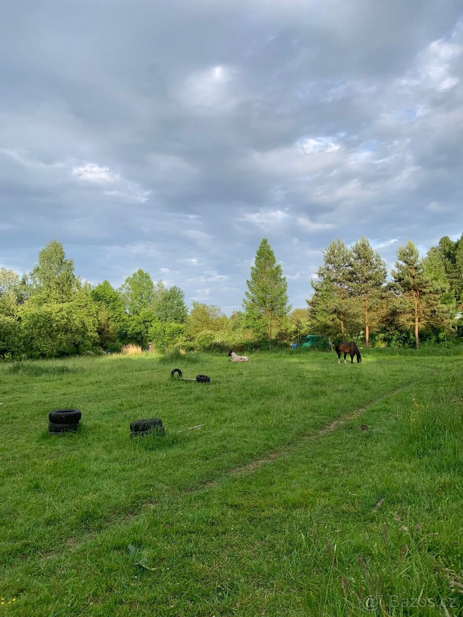 Nabízím ustájení 24/7 v Karviná - Louky - 3