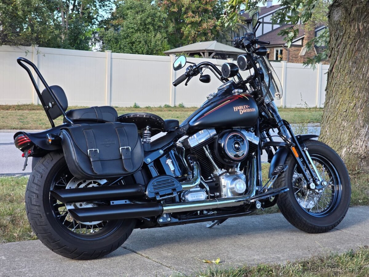 Harley-Davidson FLSTSB Softail Cross Bones 2008 - 3