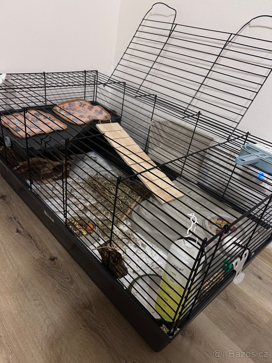 Morčata – kluci - 3