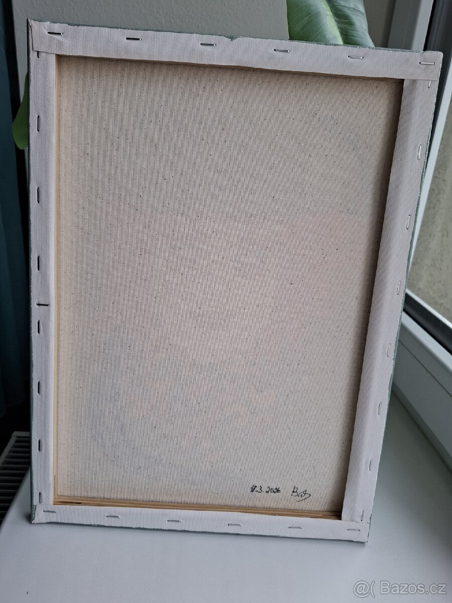 Obraz ,,Kloboučník" 29,8x40 cm - 3