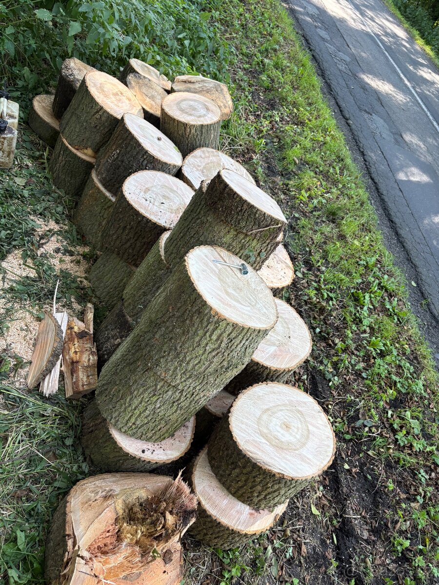 Palivové Dřevo Jasan - 3