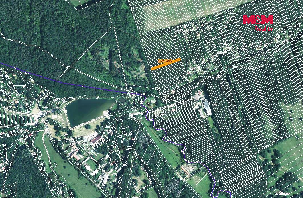 Prodej lesa, 953 m², Kněždub - 3