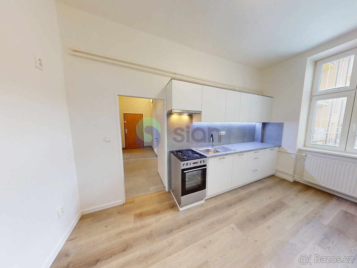 Podnájem bytu 2+1, 85 m2 na ul. Korejská 900/21 - 3