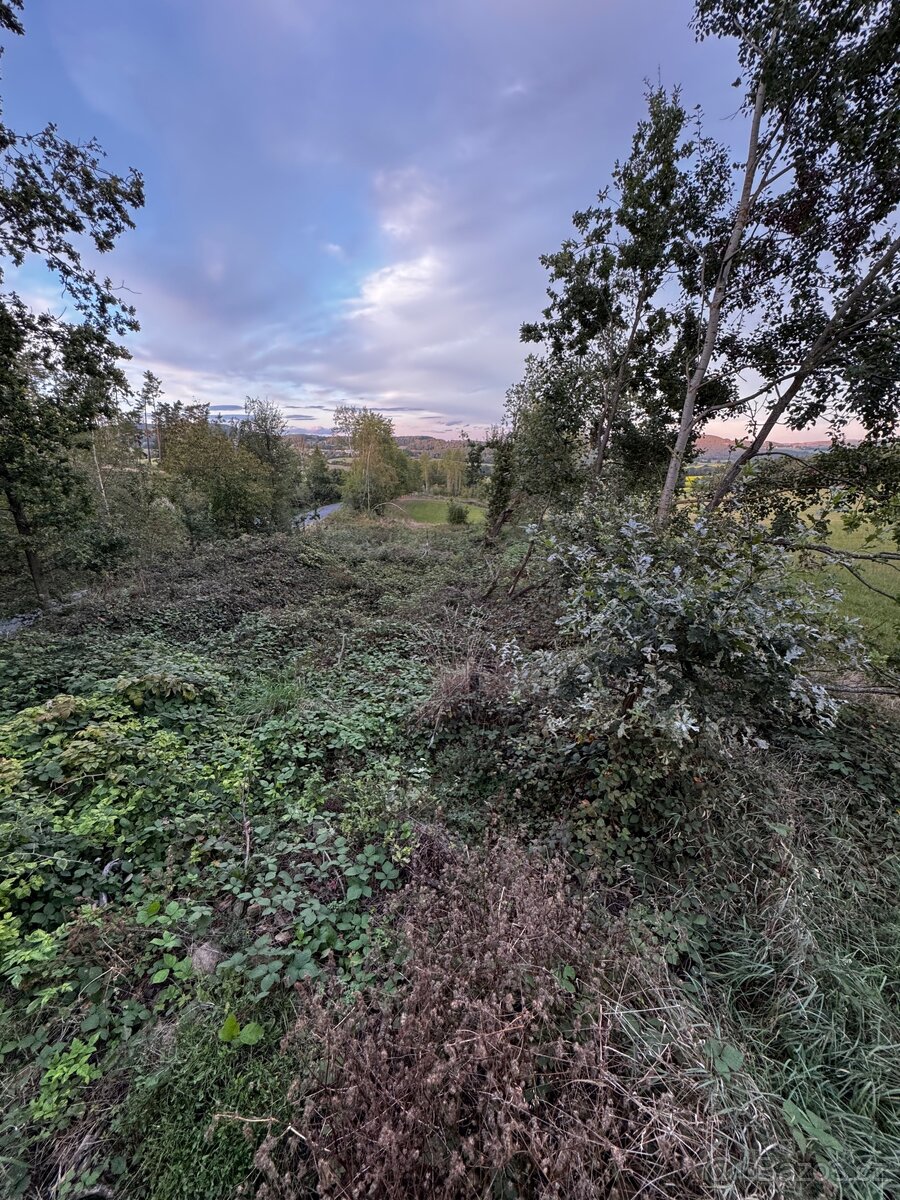 Prodej lesa 880m2 Radkovice - 3