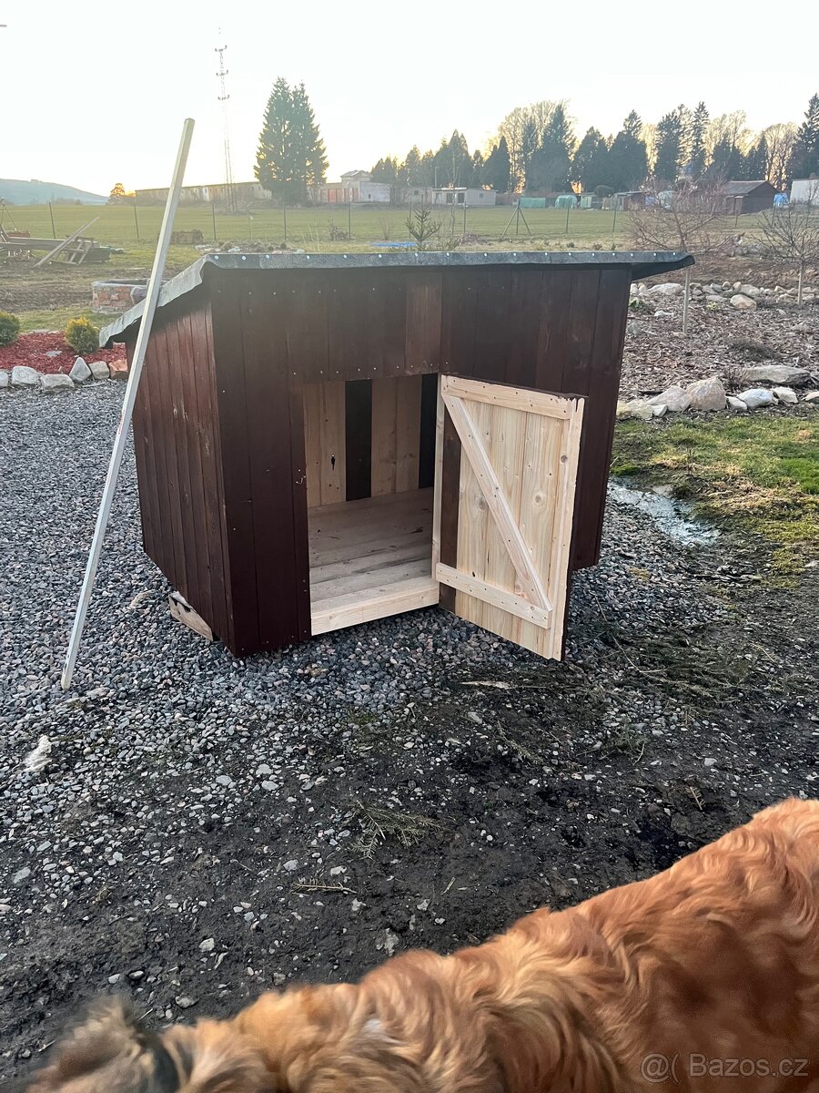 Husník kachnik kurník - 3