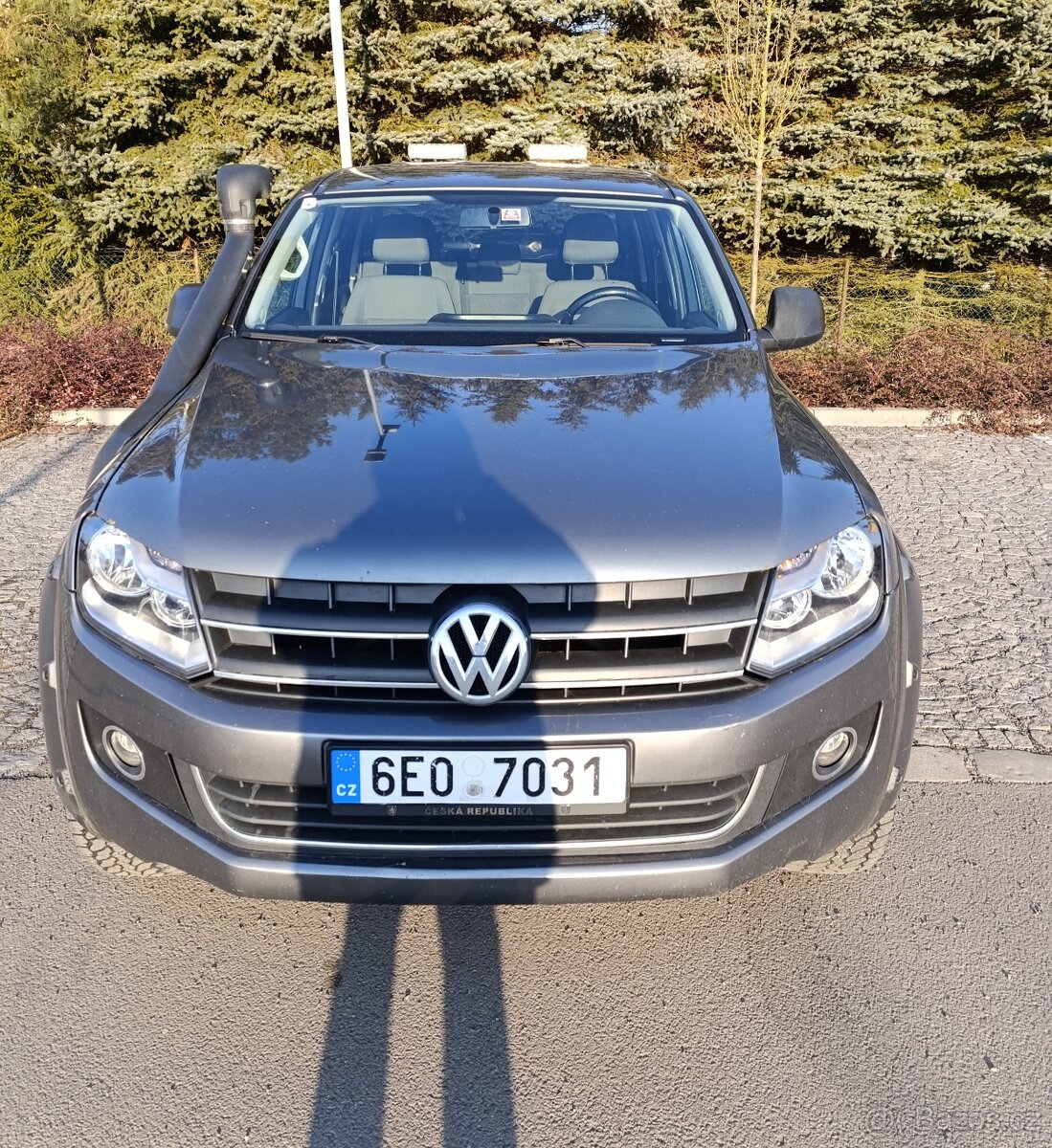 Amarok