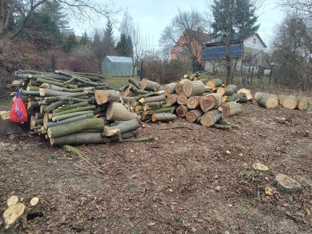 Třešeň - dřevo na uzení - 3