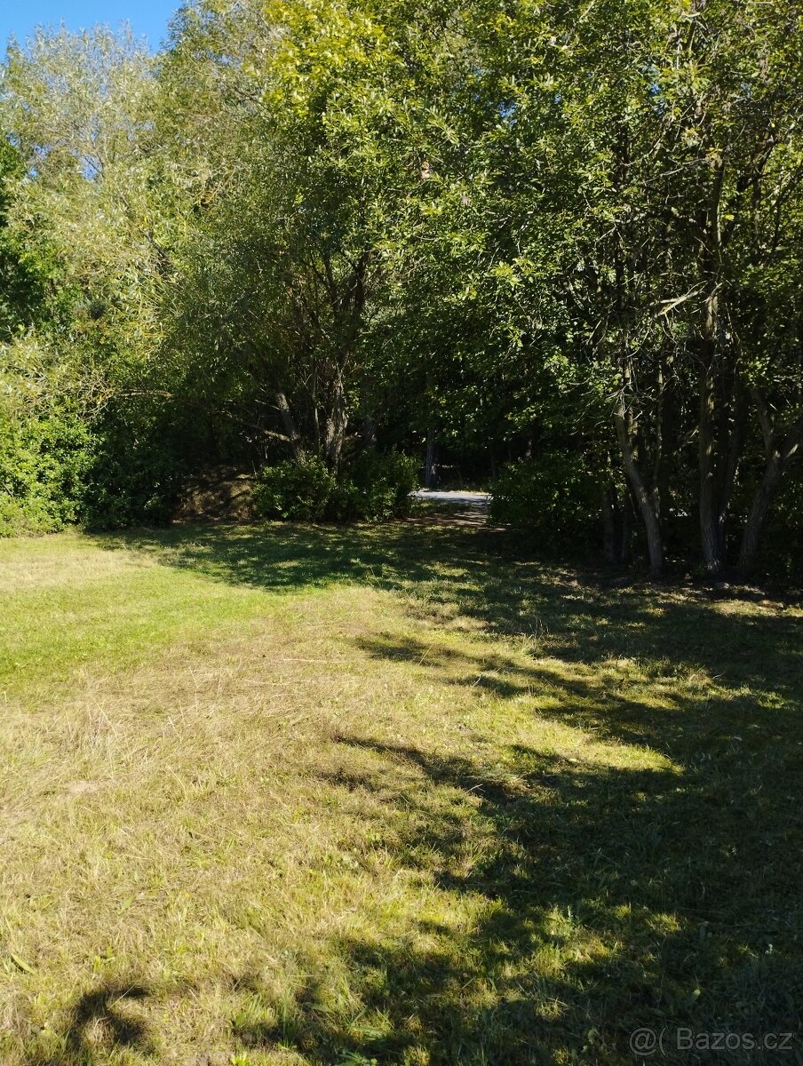 Prodám zahradu, OV, 895m2, Trpišov - Slatiňany - 3