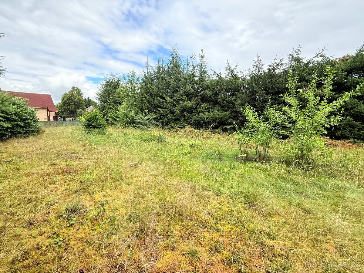 Stavební pozemek 973 m2 – Staré Sedliště, okres Tachov - 3