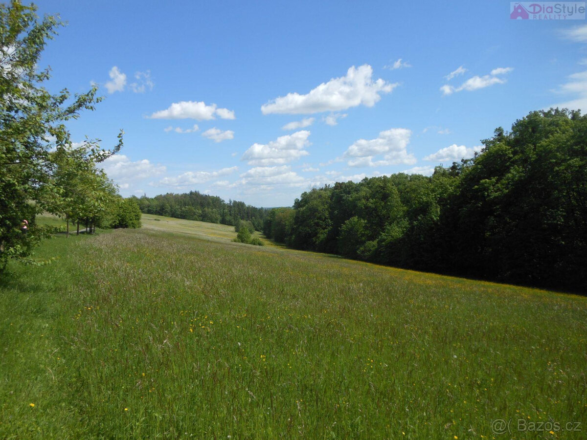Prodej pozemku v Novém Jičíně-Horním Předměstí, 7 411 m2 - 3