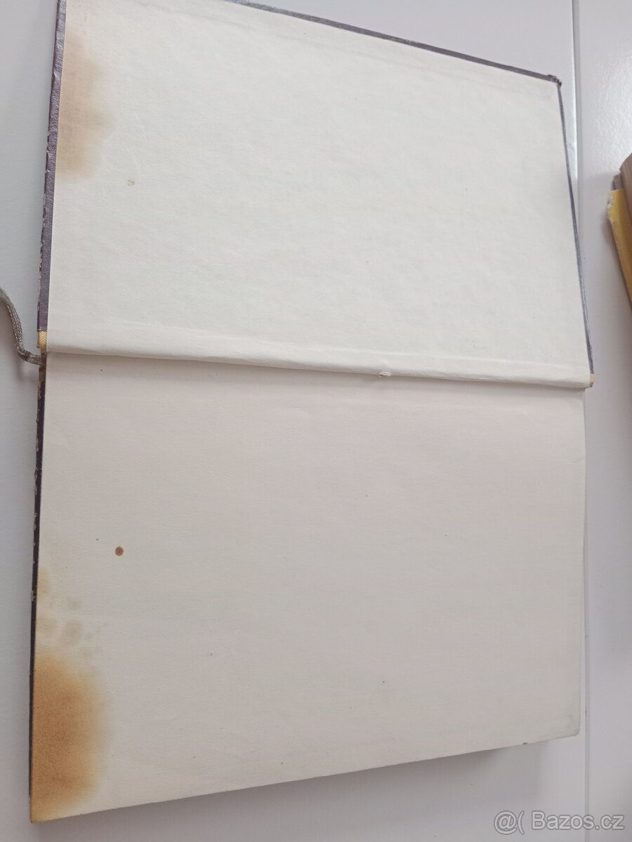 🌿 SbĂráme léčivĂ© byliny (Jaroslav Petrbok) – 1958 - 3