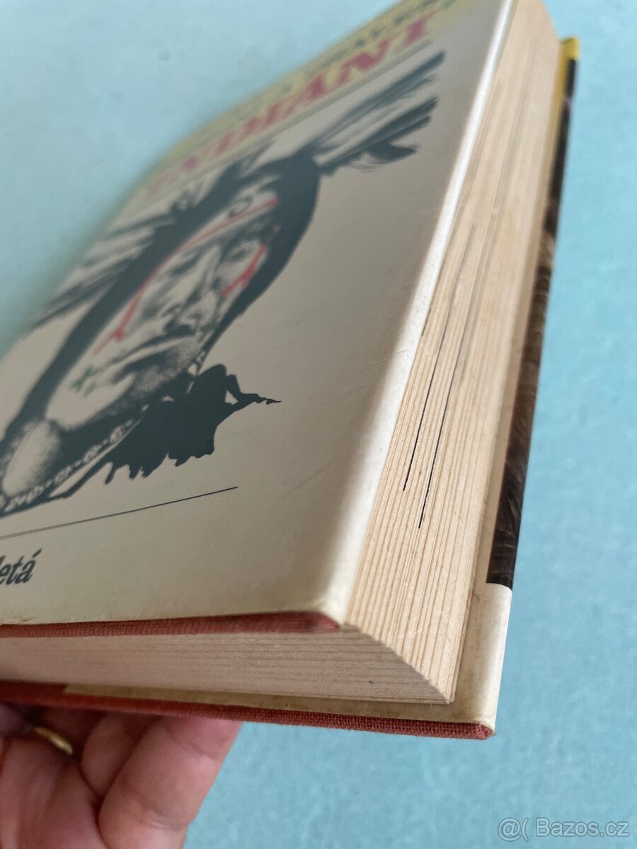 PRÉRIJNÍ A PRALESNÍ INDIÁNI - 3