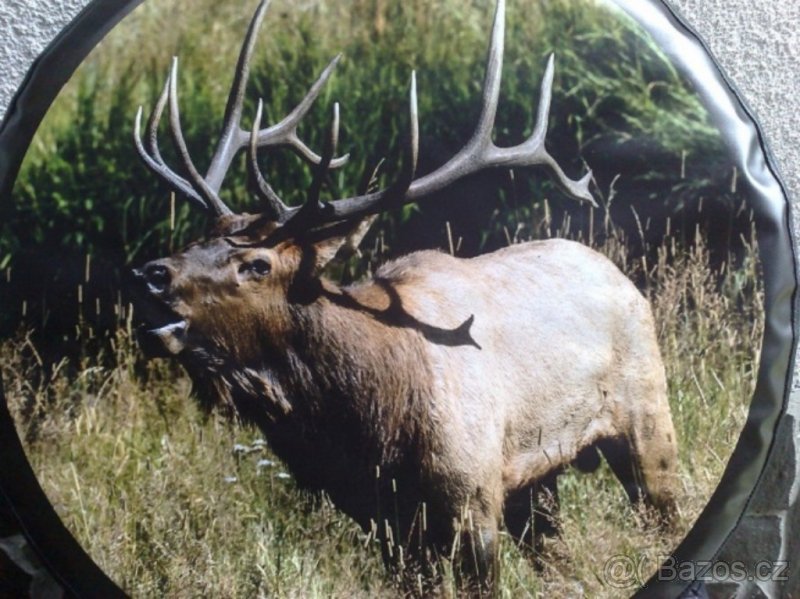 galloper kryt na rezervu kolesa - 3