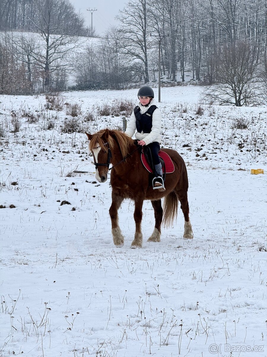 WPBR kobyla i pro začátečníky - 3