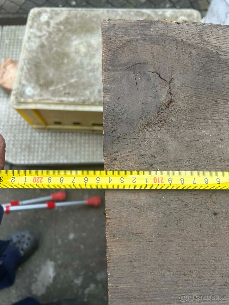 MODŘÍNOVÉ FOŠNY - 3