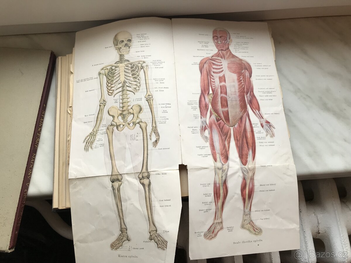 Domací lékařka - 3