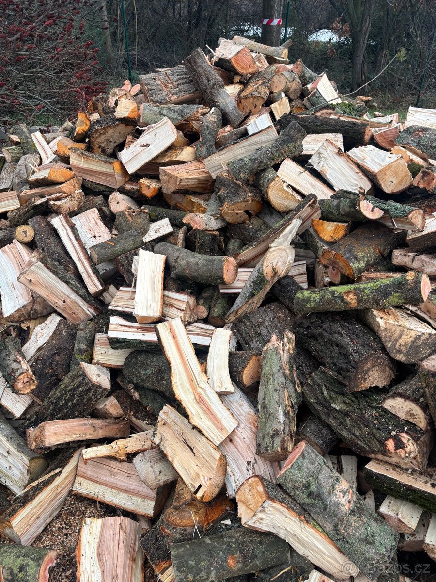 Palivové dřevo tvrdé - 3