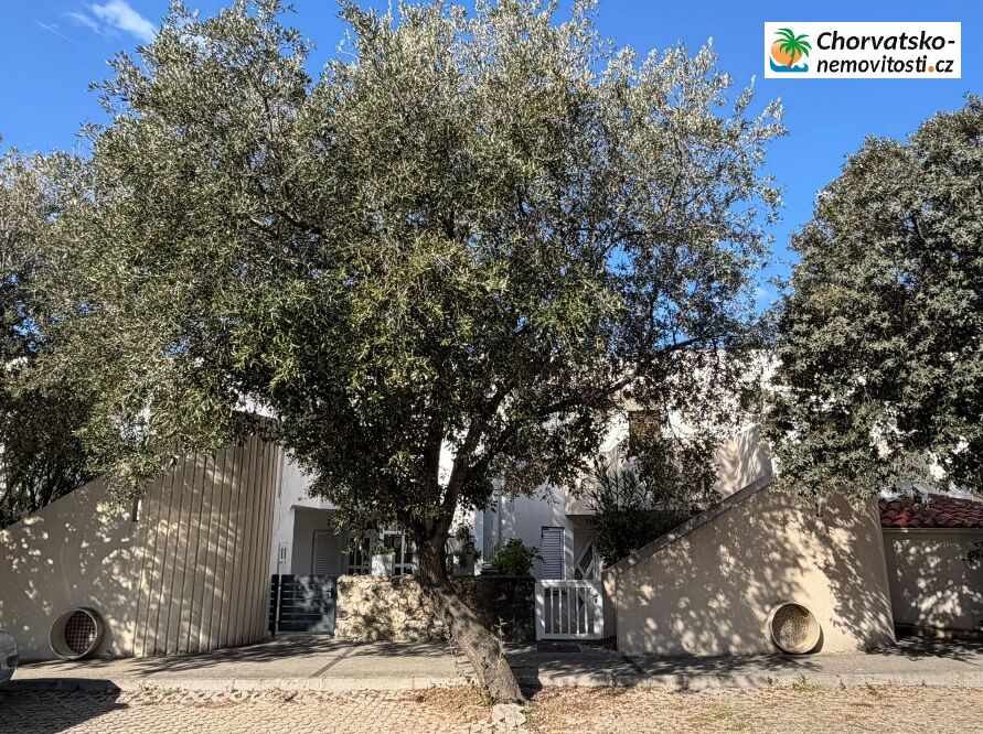 Prodej, byt 2+kk, 43 m, , , Česko - 3