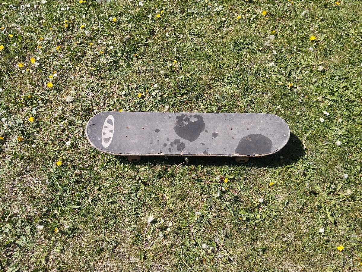 skateboard - 3
