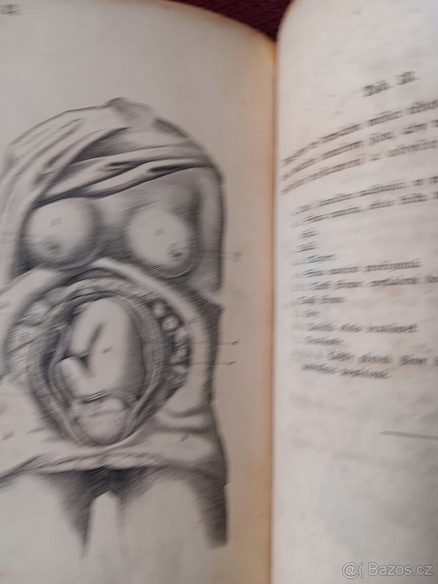 Dr.Jan Streng Kniha Babická 1859 - 3