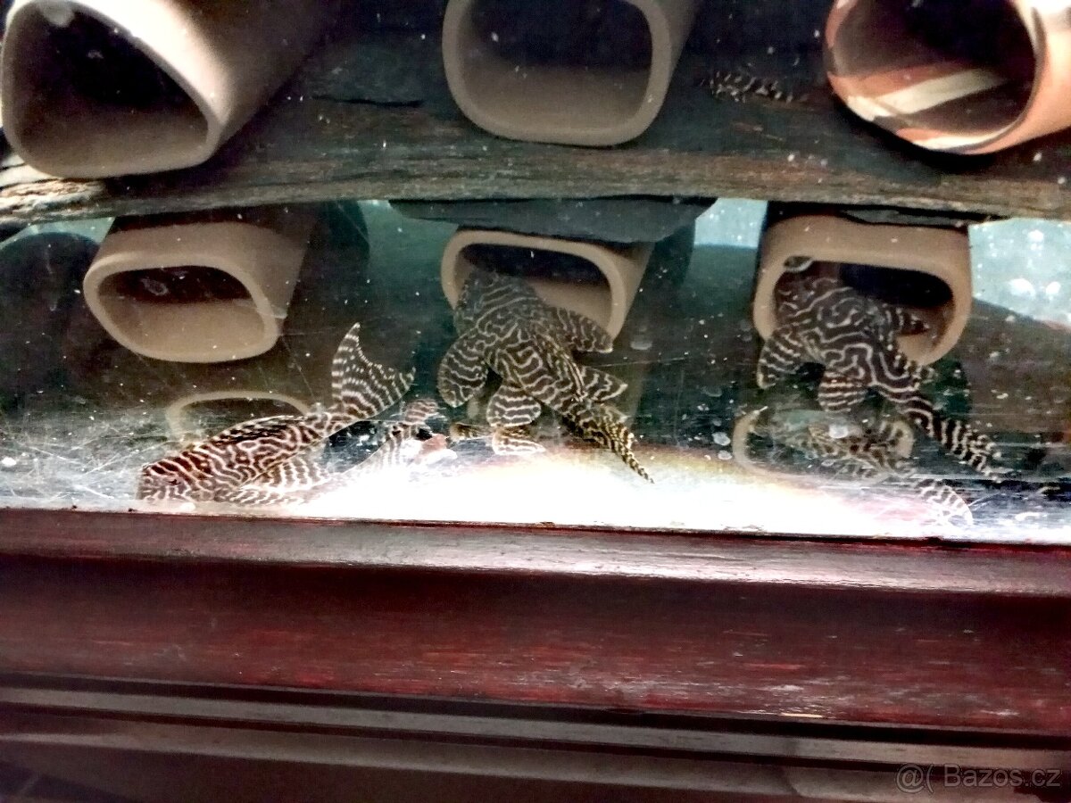 vytirací jeskyně - 3