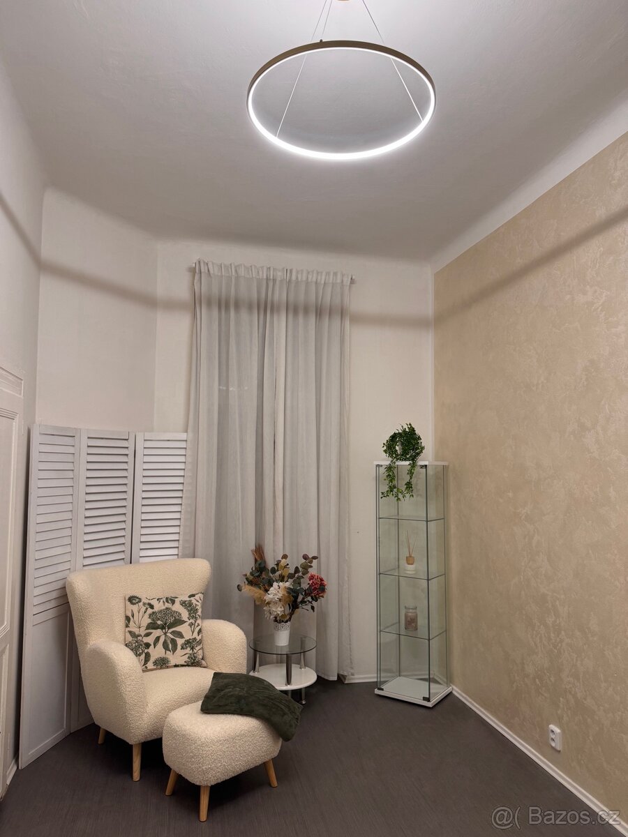 Pronájem místnosti Praha 2 - 3