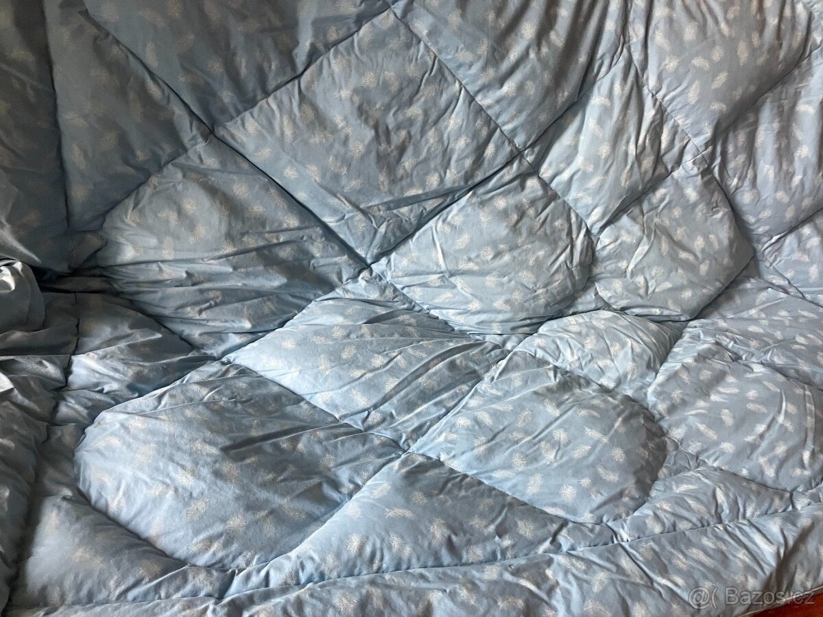 Peřina péřová - 3