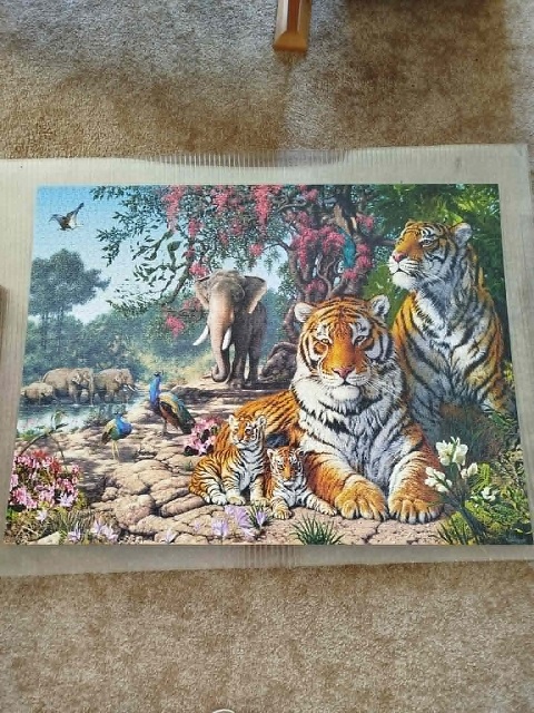 Puzzle 3000 Tygři Castorland - 3