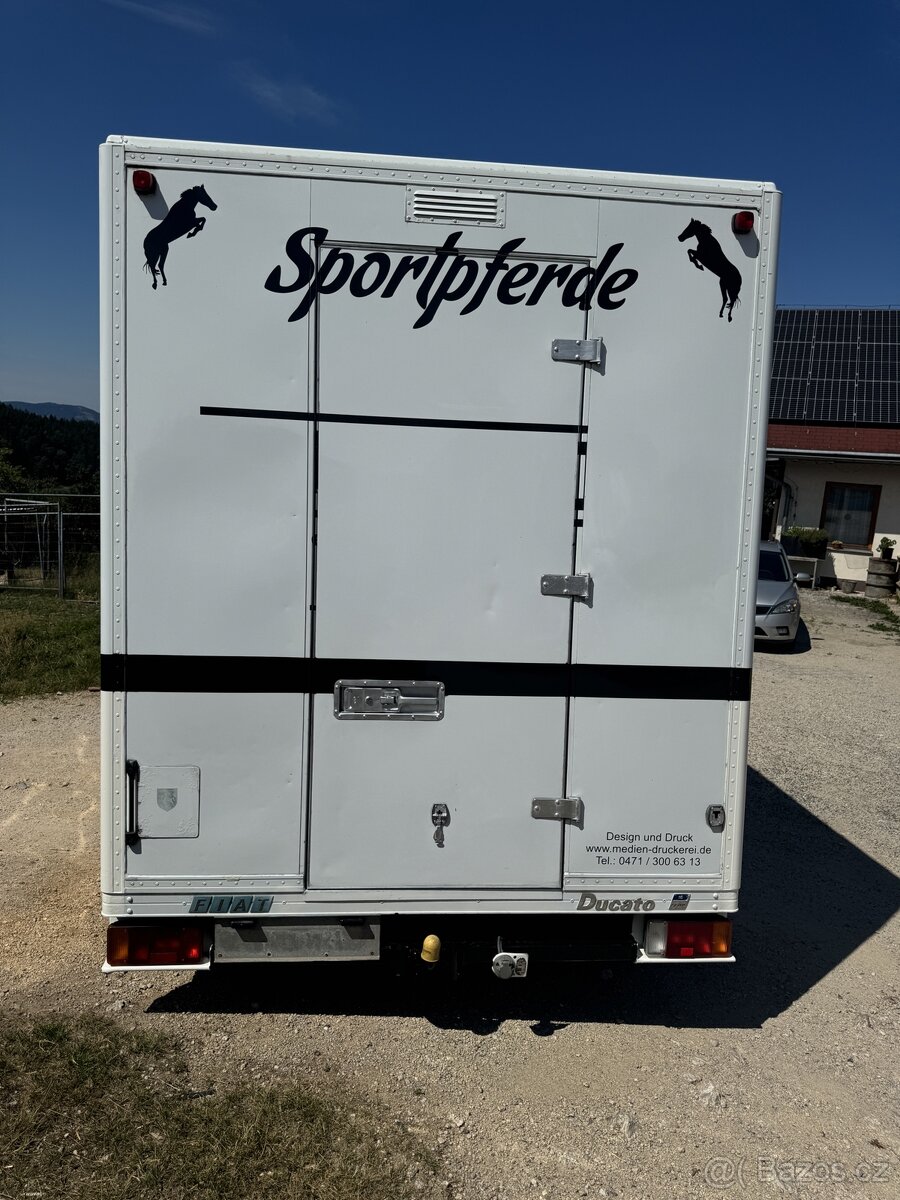 Fiat ducato pro prepravu koní 2.8jtd - 3