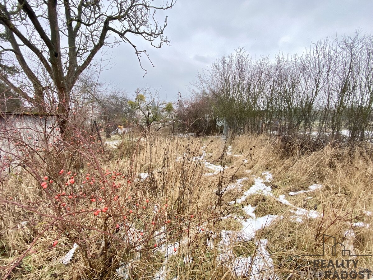 Prodej zahrady, Cholina. - 3