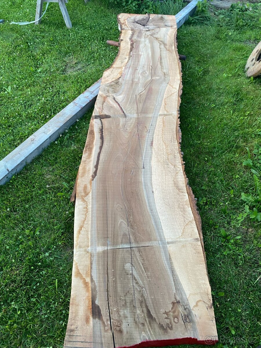 Fošny ořešáku - 3