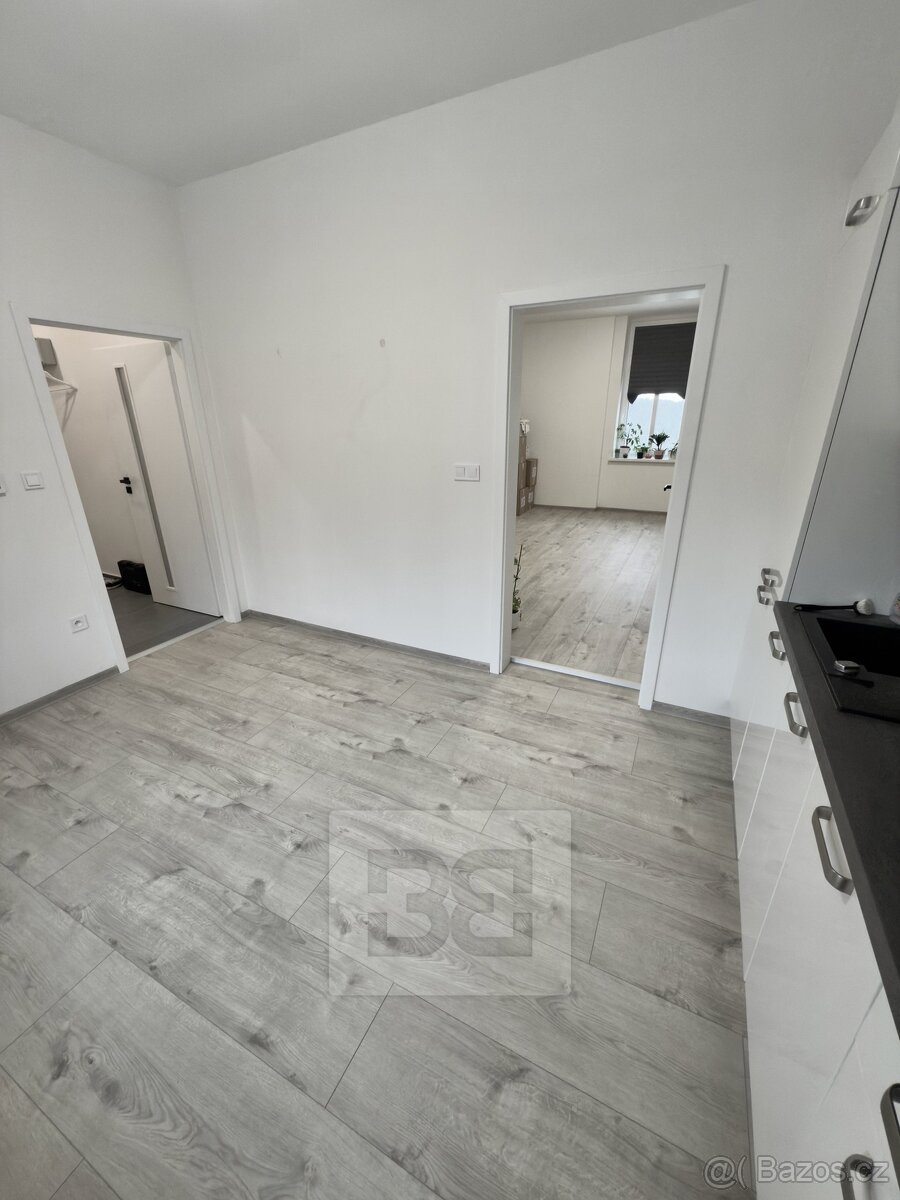 Pronájem bytu 1+1 45 m², se zahradou 100 m² - Mělník - 3