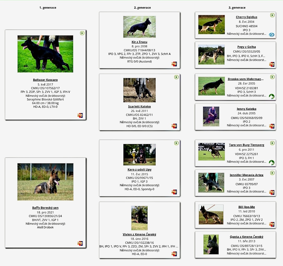 Německý ovčák - štěňátka s PP - 3