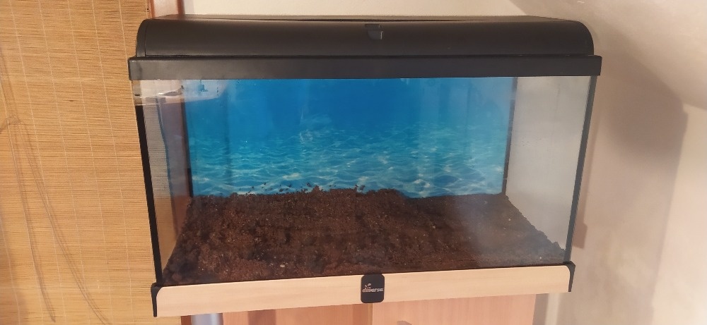 Akvarium, set Diversa - 3