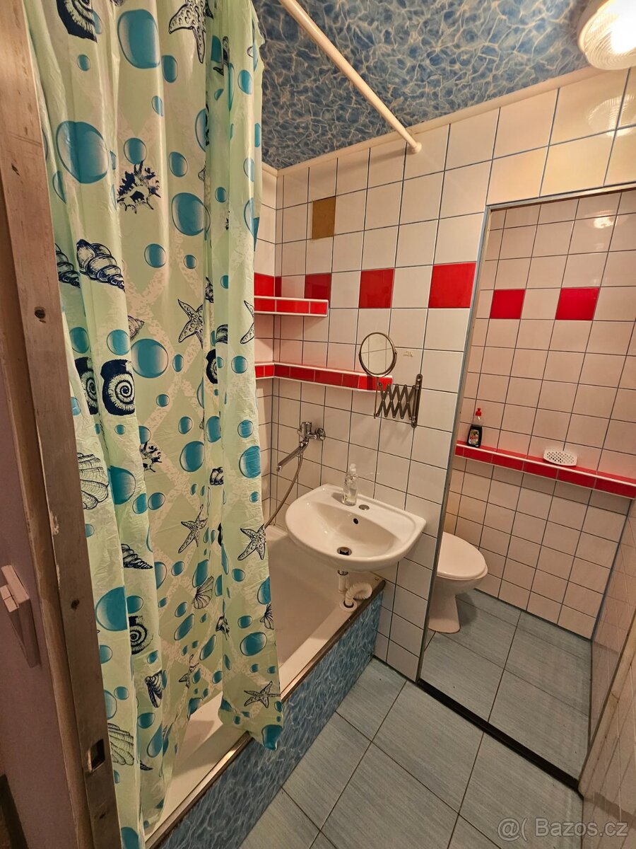 Prodám byt 1+1 v Hodoníně - 3