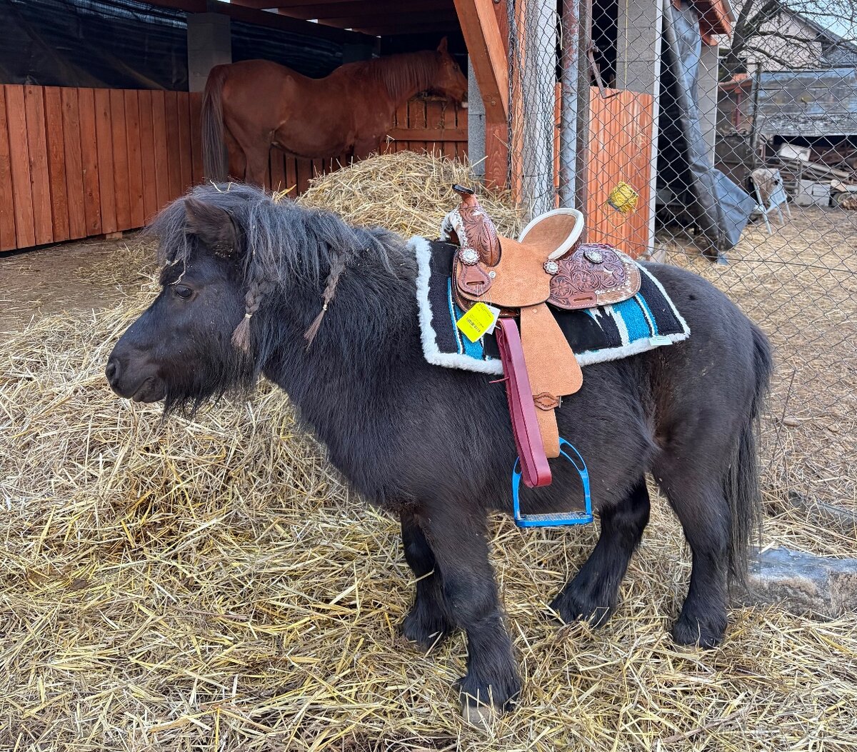 Westernové detské sedielko, pony, shetty - 3