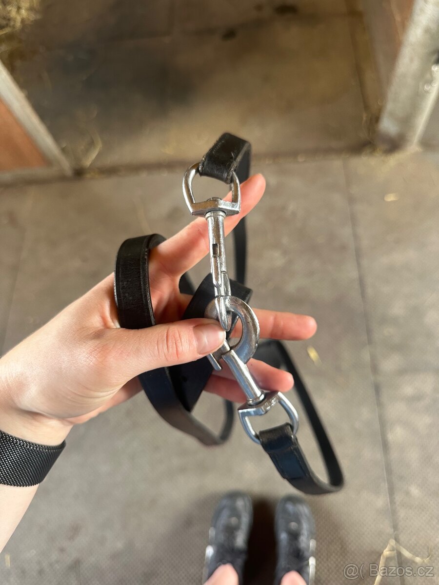 Theidemann martingal - 3