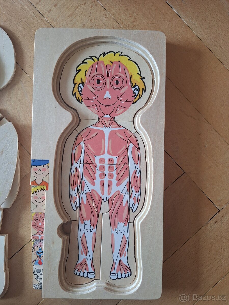 Dřevěné puzzle lidské tělo - 3